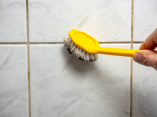Best Attic Mold Removal  in Millville, DE