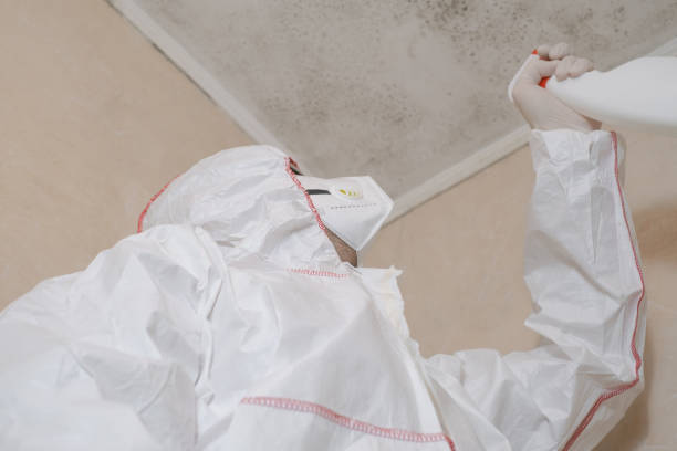 Best Mold Testing and Removal  in Millville, DE