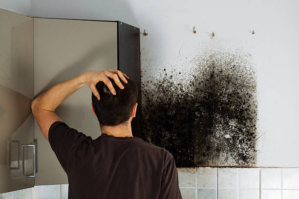 Best Certified Mold Removal  in Millville, DE