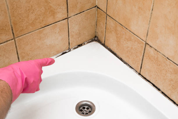 Best Emergency Mold Removal  in Millville, DE